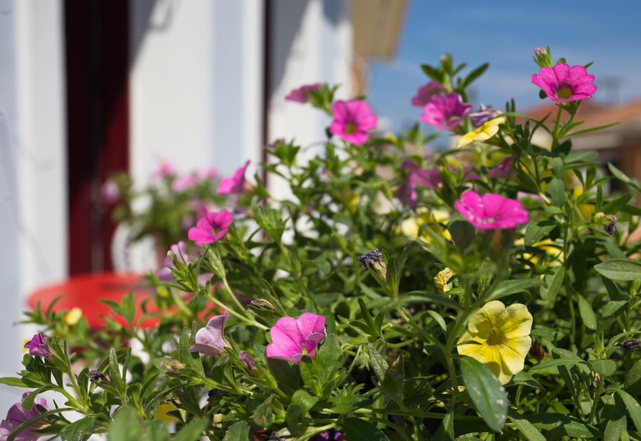 Casa Di Fiori Lejlighed Lefkáda Eksteriør billede